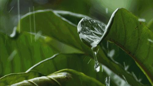 山东省到底有多强大,山东对中国的贡献有多大