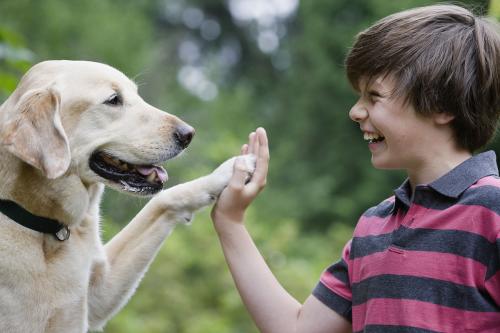 养狗内行人才知道的养狗诀窍,养狗10年的讲究