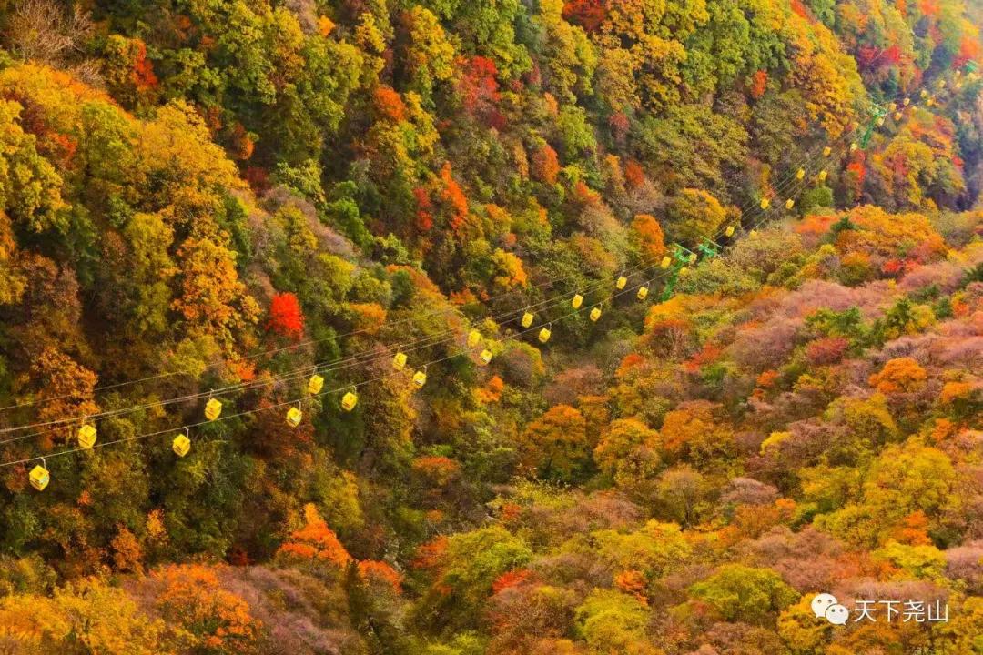 尧山红叶节免费门票,尧山景区每星期三免门票