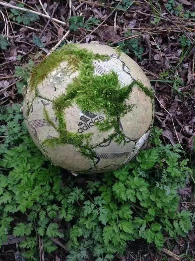 北京国安世界级外援引入情况一览,中赫国安最新外援