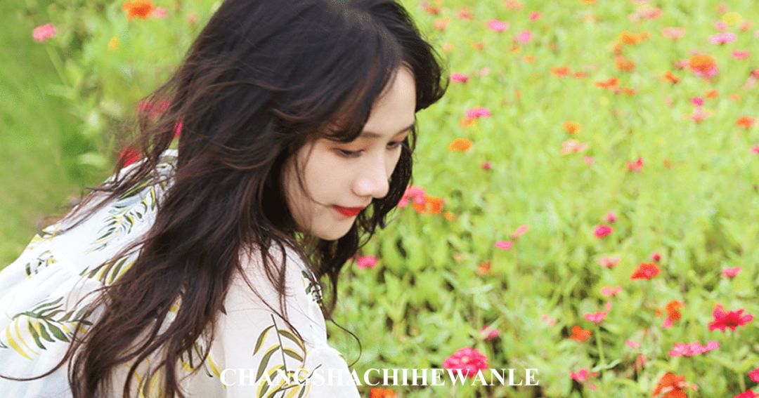 秋天的沙湖美不胜收,洋沙湖旅游