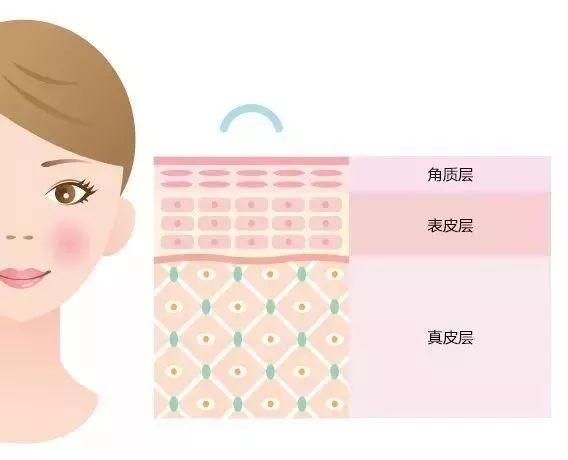 角质层薄脸上有红血丝怎么调理,角质层薄有红血丝脸发红怎么修复