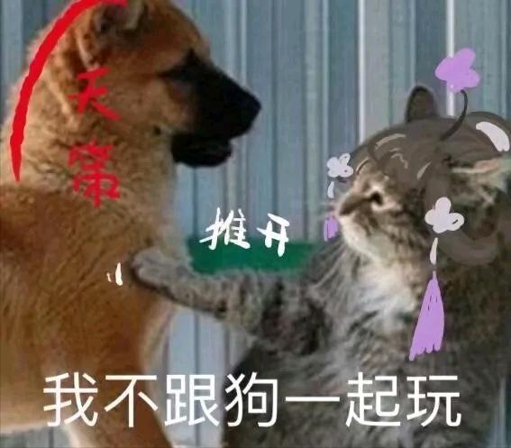 剑网三到底玩什么职业,剑网三需要操作的职业