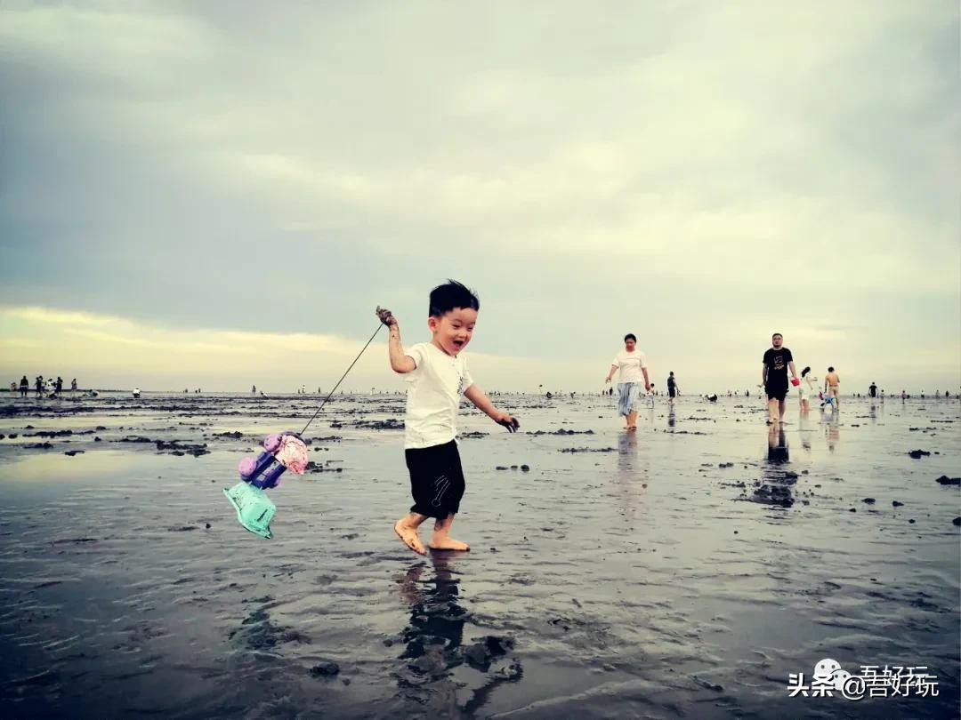 遛娃|南汇新城海滩，魔都夏日必打卡？