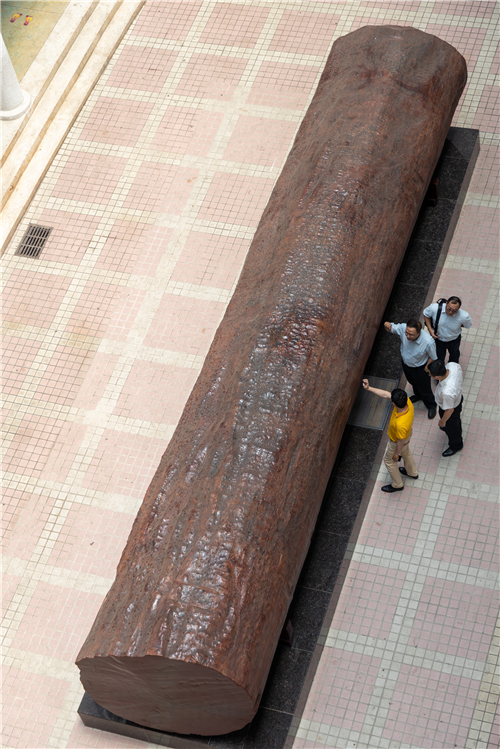 福布斯十大杰出国际化学校校长陈峰：国际化教育路上的“创变僧”