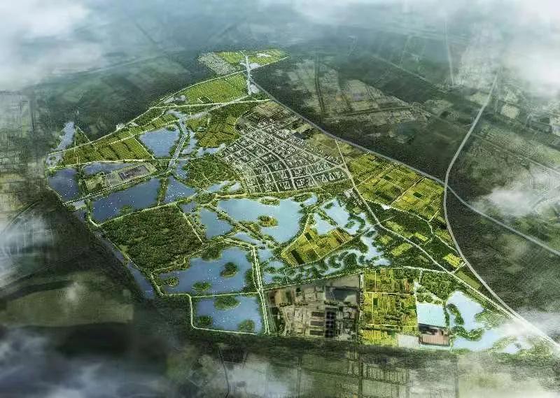 津南区国家级会展中心位置,津南区国家会展中心有什么