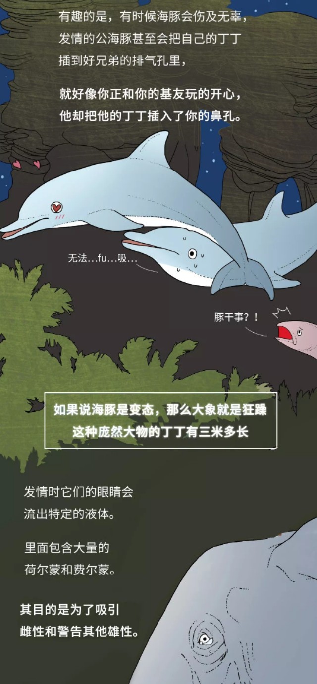 动物怎么上飞机,动物是如何乘坐飞机的