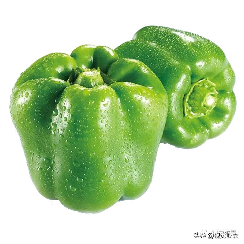 乡村蔬菜大棚的设计,蔬菜精美设计图片