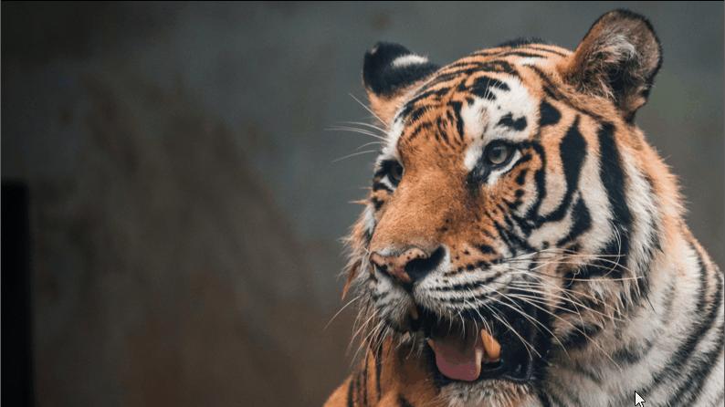 适合做ppt背景的高清大图教学,如何做一个漂亮的ppt背景