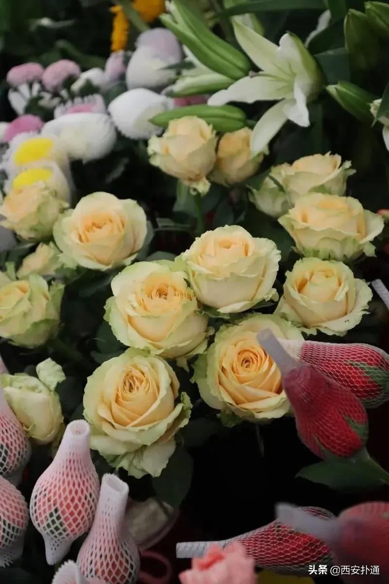 西安花市怎么买花便宜,西安最新花市