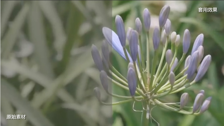 松下g95能拍什么视频,松下g95拍视频配什么镜头