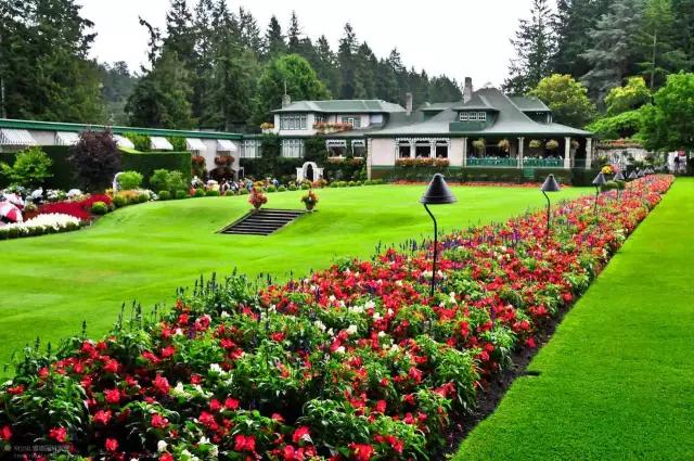 矿坑改造最美公园,矿坑改造湿地公园视频