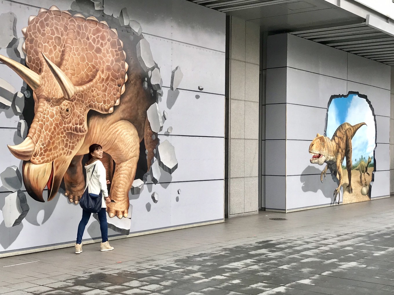 青春18旅游通票怎么买,坐jr游日本