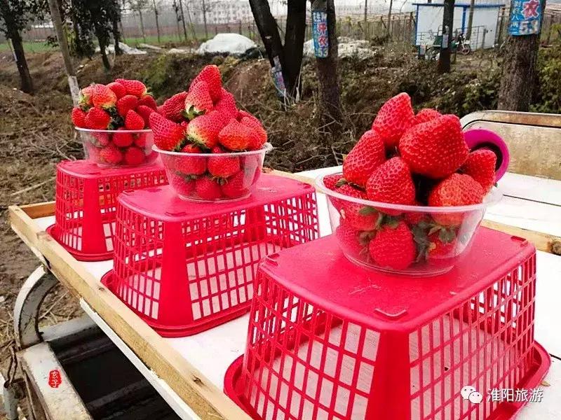 长亭外,古道边……原来淮阳古代的十里长亭竟然在这里