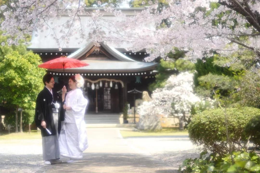 为英伦女神而生，20万日元一把的“樱和伞”，发售一小时就被抢光