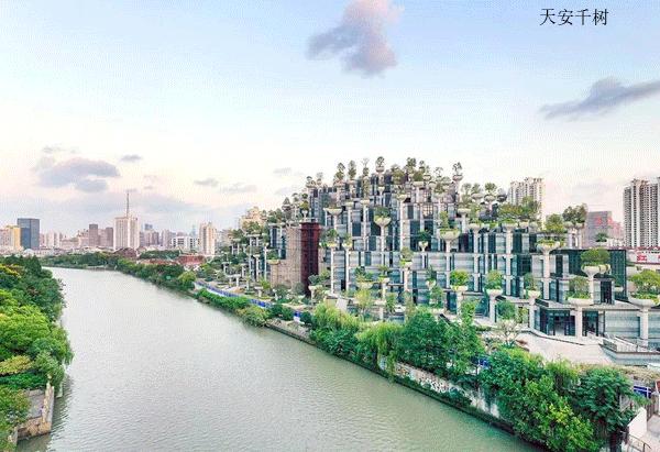 神仙打架上海,华东区购物中心