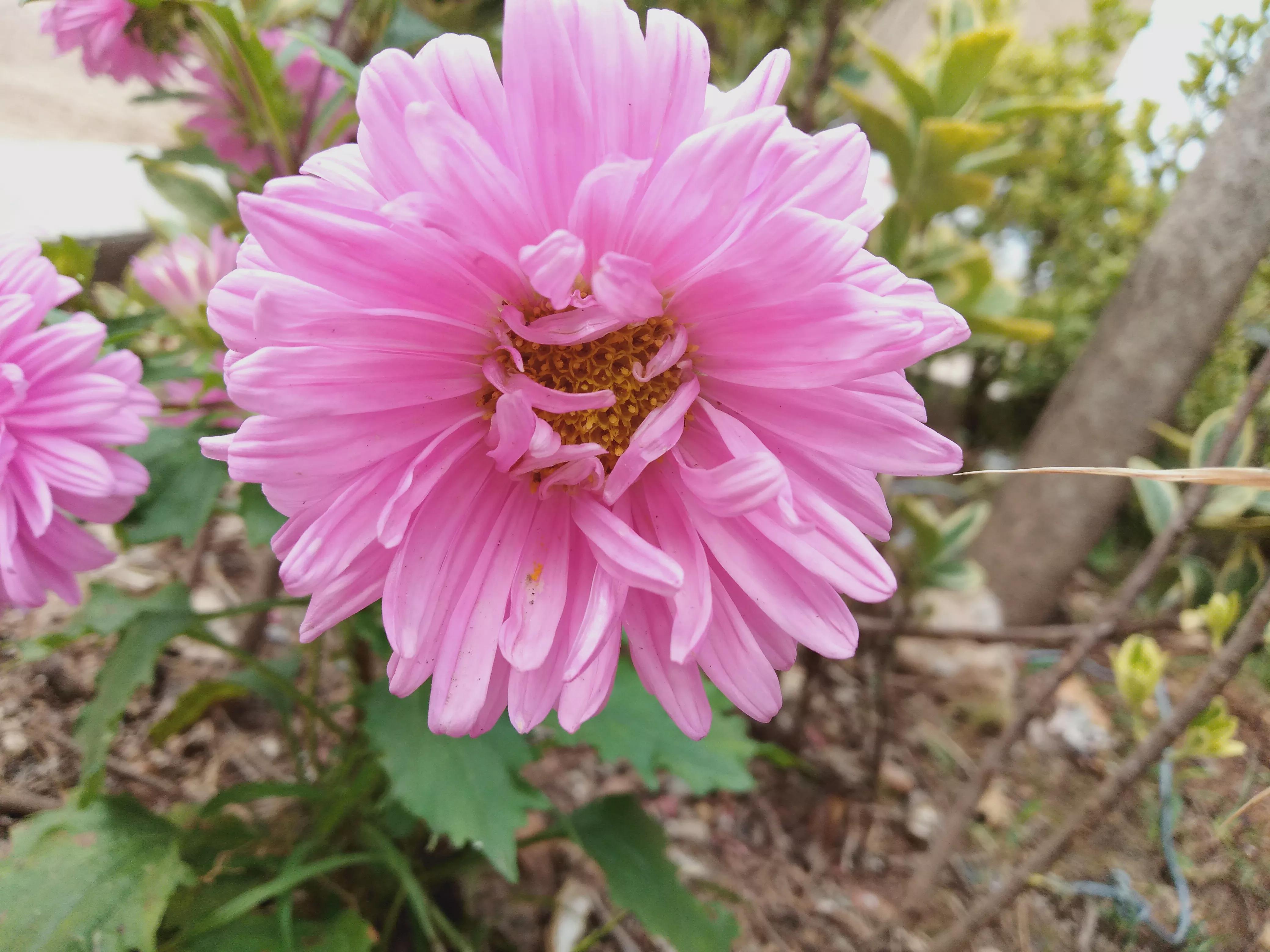 二十四节气中属于春天的节气有,二十四节气歌课文与节气对应图