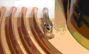 特斯拉线圈都能点亮什么,特斯拉线圈上手