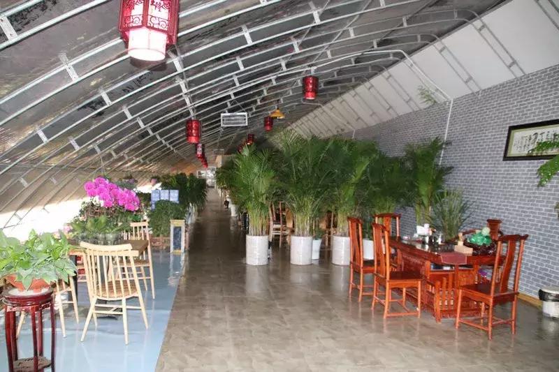 湘妹子的“花世界”——记黄陵县妇女创业能手张凤姣