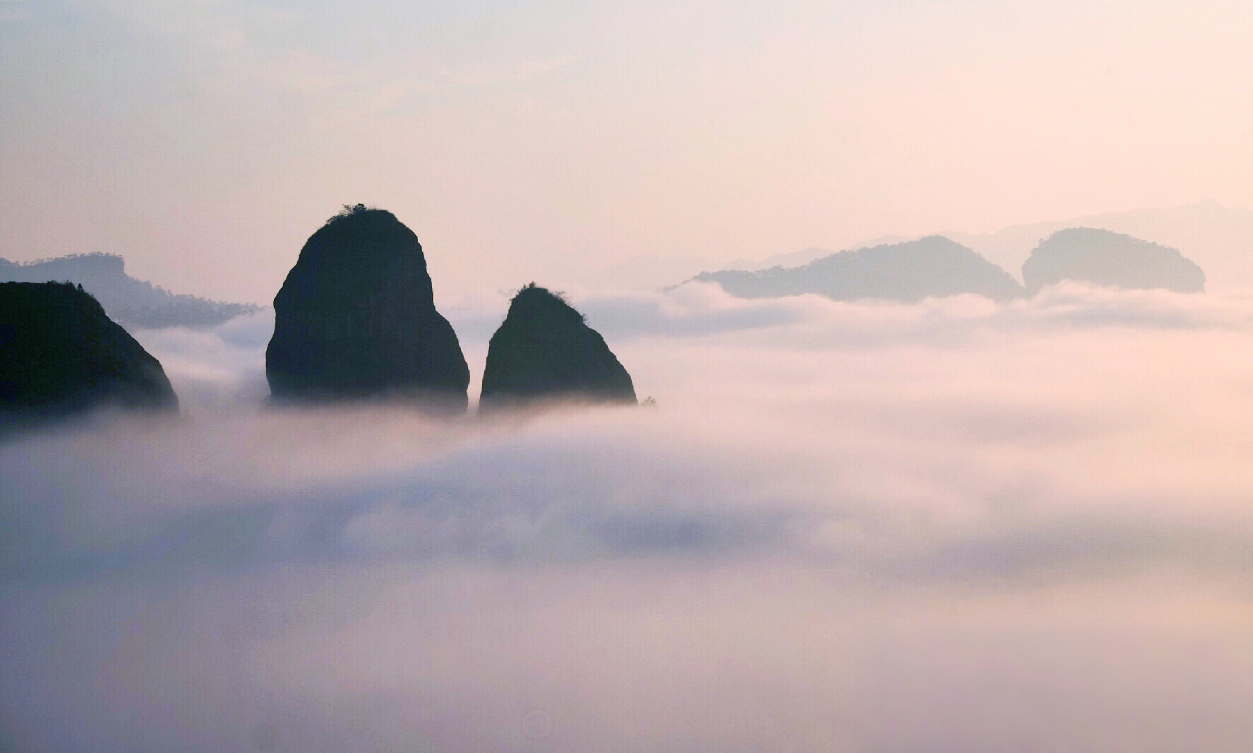 从业十年我所经历的火爆和低迷,茶行业真实揭露