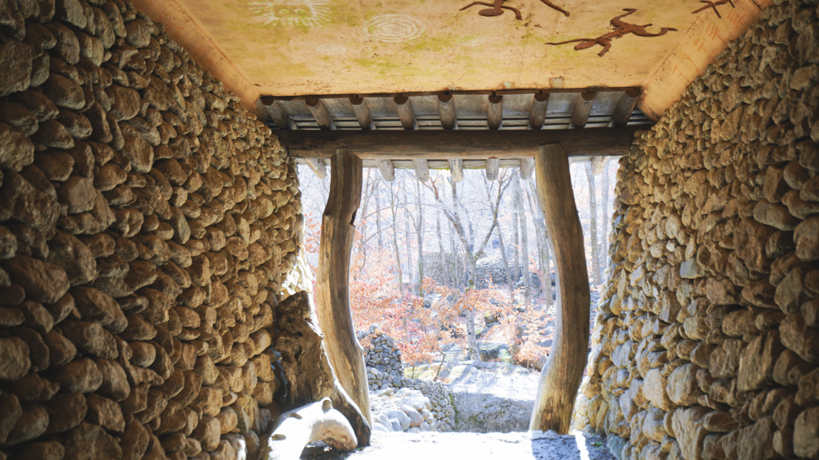 哇,人参随便挖!韩国还能这么玩