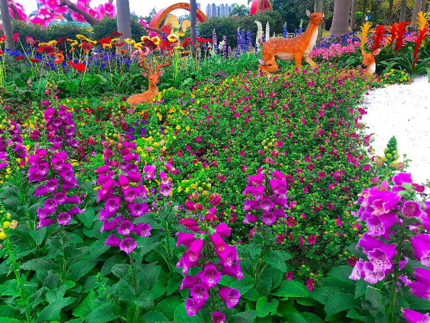 广州云台花园全景视频,广州云台花园美景