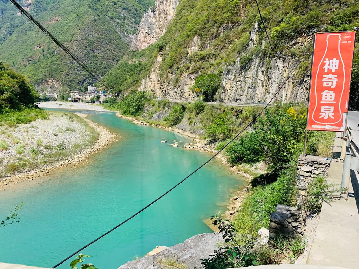 重庆地下鱼泉涌出大量鱼,重庆农户挖出神秘鱼泉在什么地方