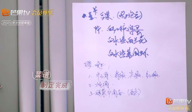 回顾何雯娜的成长经历,现在的何雯娜