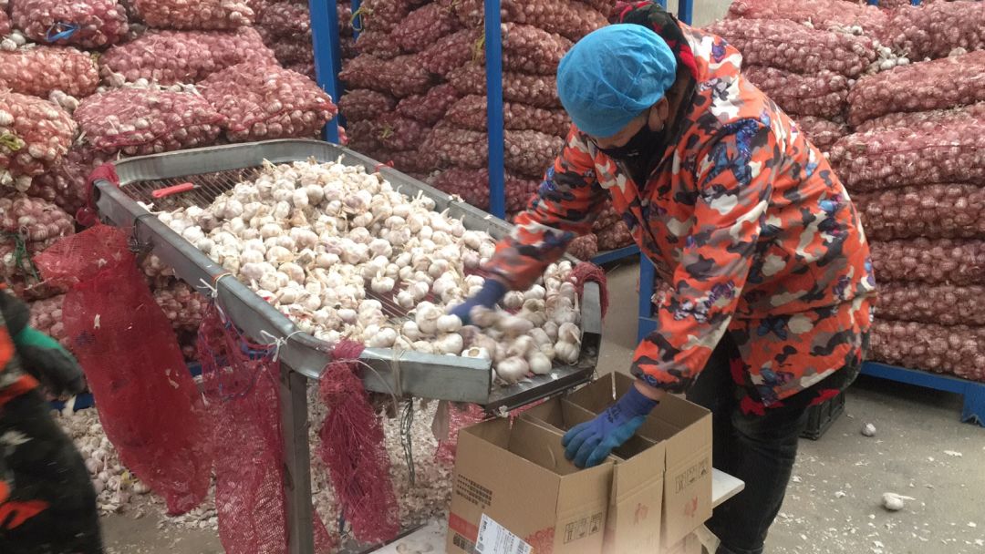 怎么卖大蒜赚钱,卖大蒜挣2亿