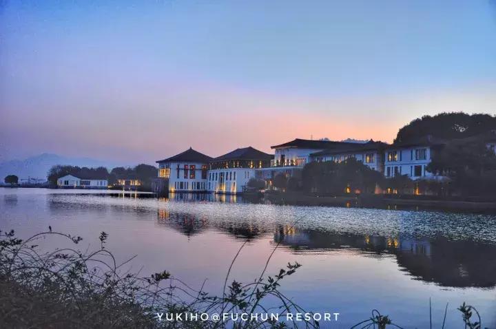 最美银杏秋景自驾攻略,杭州银杏树旅游攻略