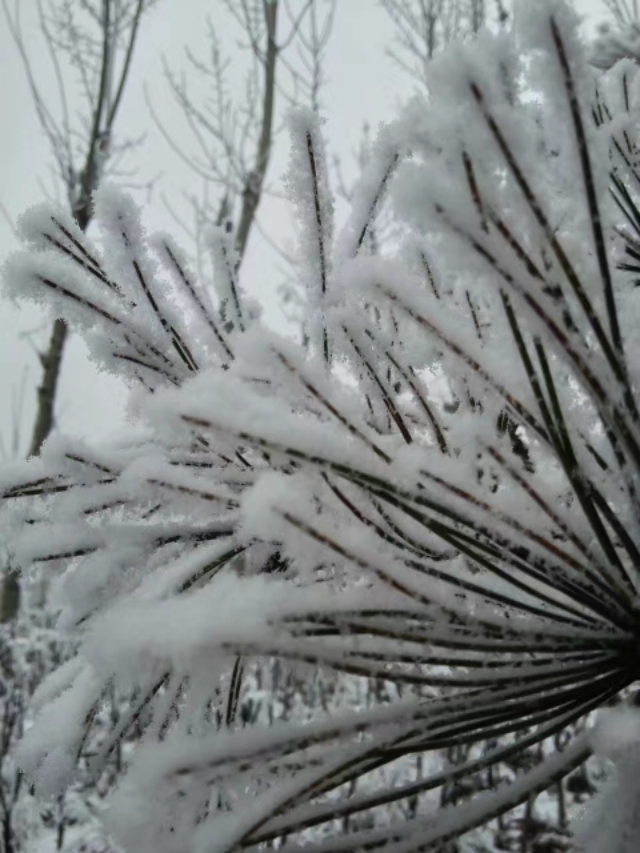 散文冬天的湖,冬天散文朗诵