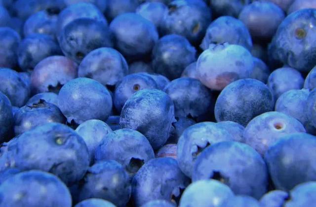 干货不会讲怎么办,干货分享不能说的话