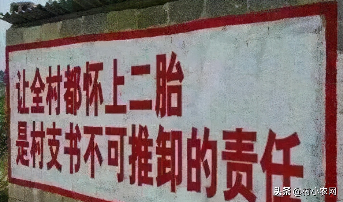 20个农村创业致富小项目,2021农村创业致富项目