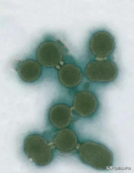 股海图志深度解析,股海图志写真集