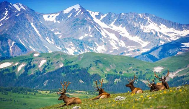 埃德蒙顿vs卡尔加里,阿省卡尔加里