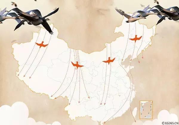 从禾花雀到云雀，又一种鸟快被中国人吃绝种了！