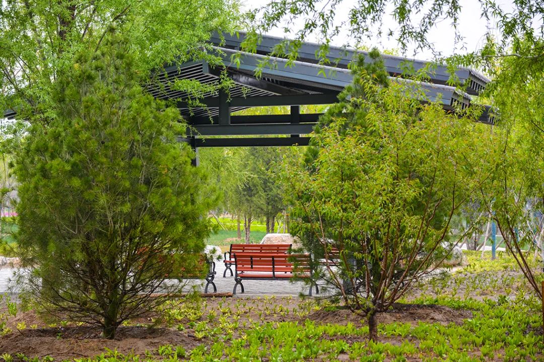 北京新开40个公园在哪里,北京十佳公园