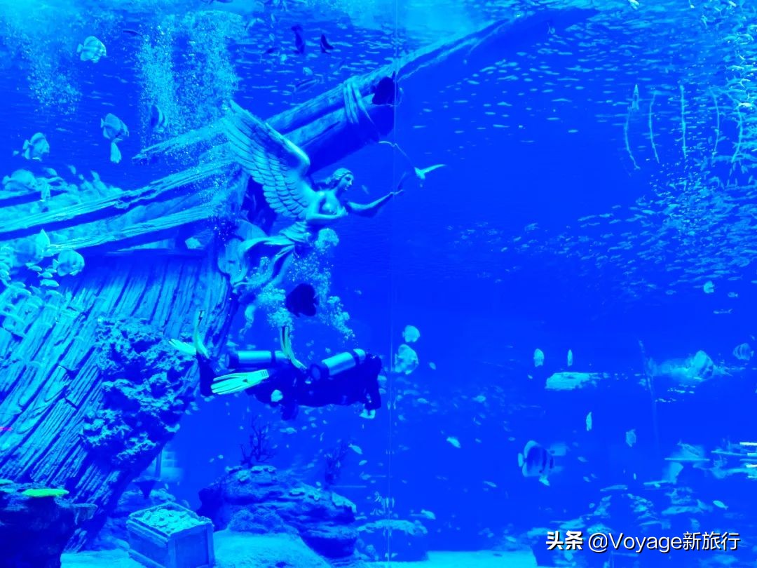 重庆融创文旅城和万达,融创文旅城飞越重庆