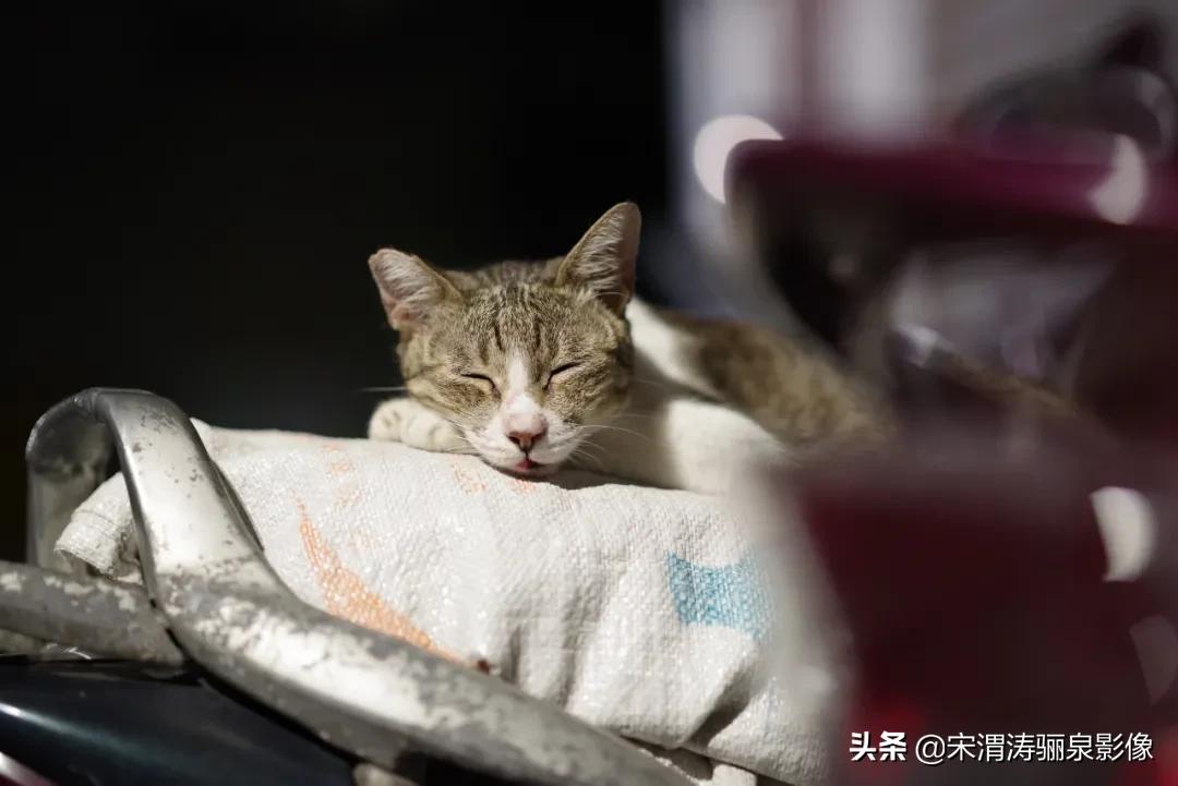 pentax十大经典相机,pentax好吗