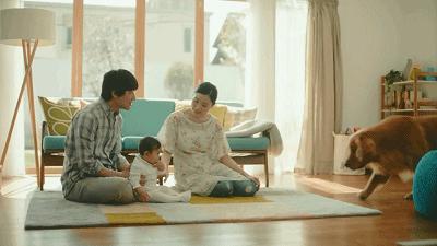 清洗霉斑家用除霉膏,家庭除霉妙招测评