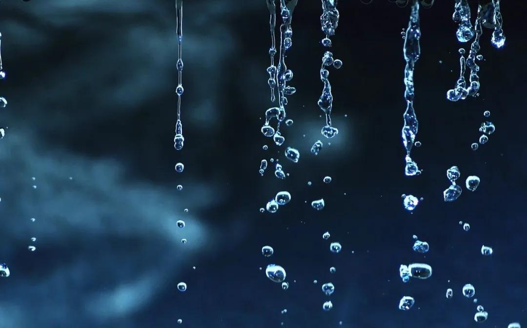 雨水丨如雨如水，温柔坚定