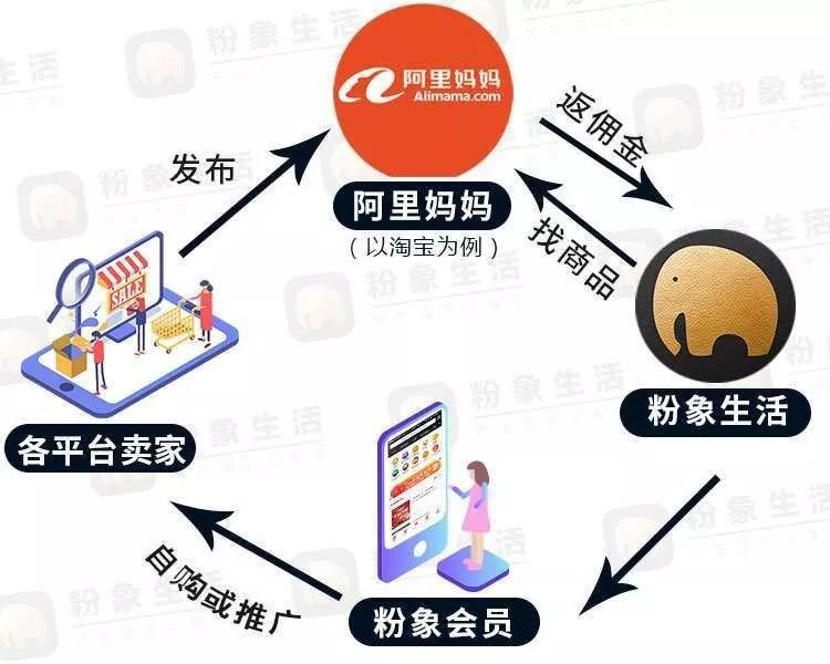 粉象生活怎么领优惠券,粉象生活平台优惠券怎么用