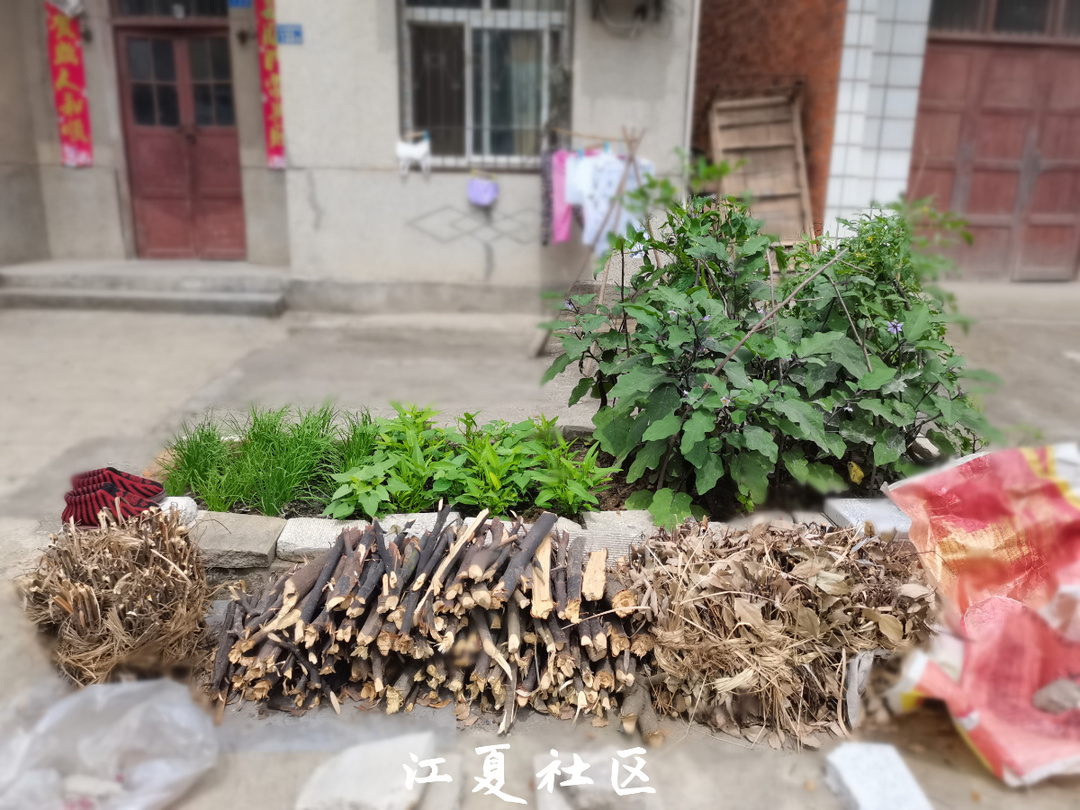 江夏的土地堂未来有发展么,江夏区土地堂由来