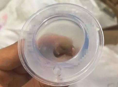 贝亲假冒玻璃奶瓶后续,贝亲买到假奶嘴怎么办