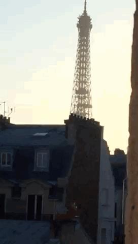 旅行thetravel1973,旅行traveltrip