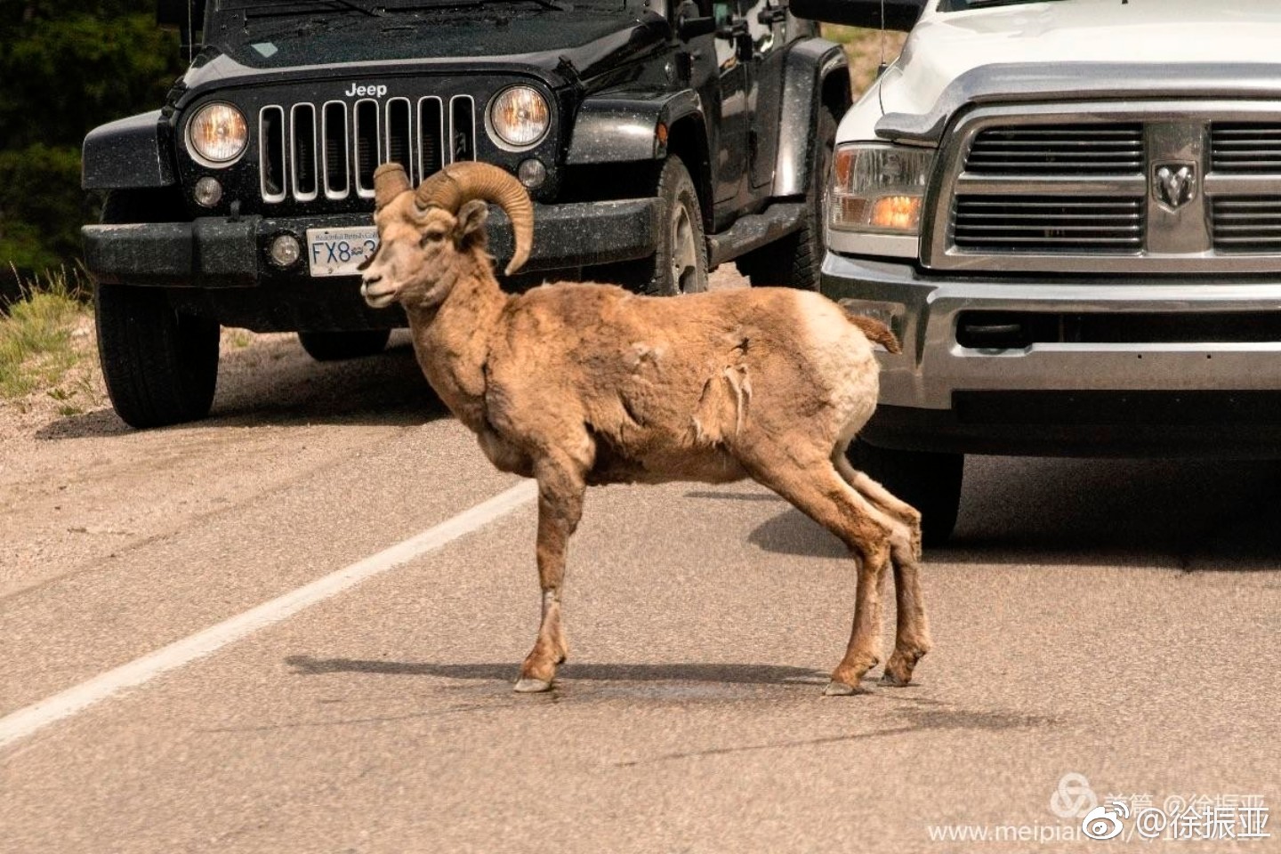 班芙国家公园,班芙国家公园照片