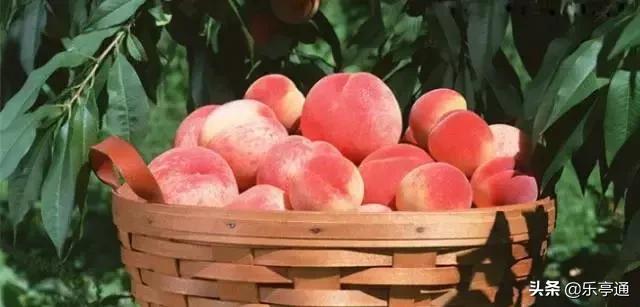 乐亭最美的地方,乐亭县古镇