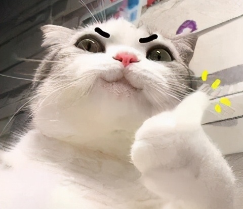 宝宝出现口臭的原因有哪些,宝宝口臭是什么引起的