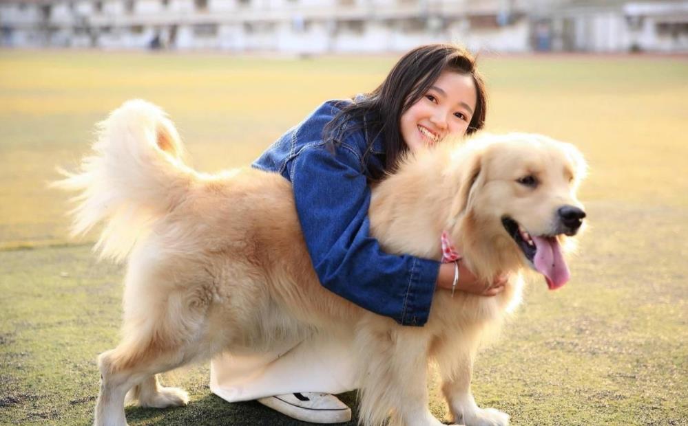 最全常见的27种狗狗你认识几种,最适合男生养的凶猛又忠诚的狗狗