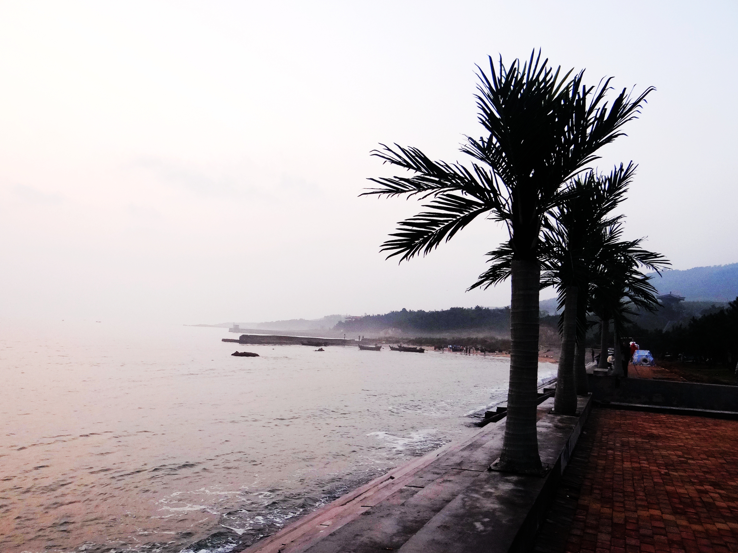 青岛鳌山湾日出,青岛蓝谷滨海公园日出